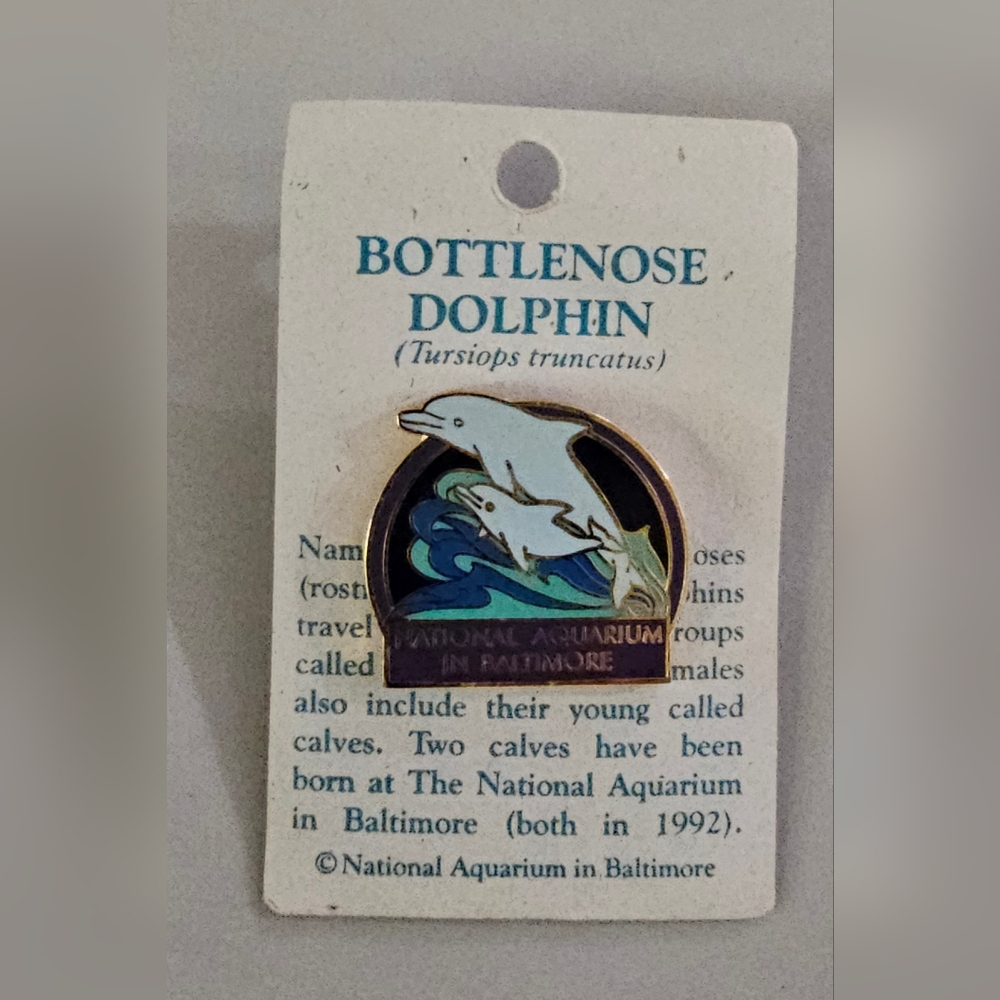 Bottlenose Dolphin Enamel Pin
